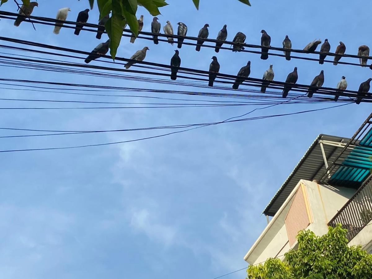 Lu Peaceful Homestay Da Nang Exterior photo